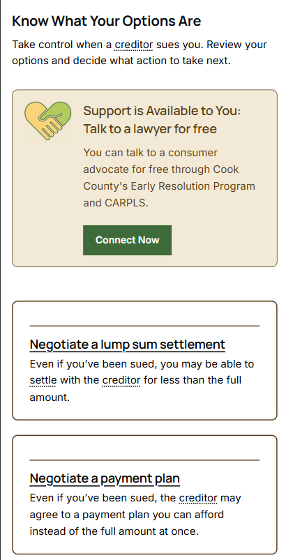 Screenshot of the Options on a summary page