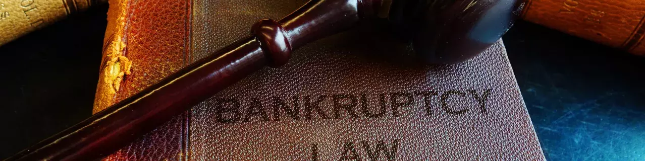 A bankruptcy book with a gavel on top of it