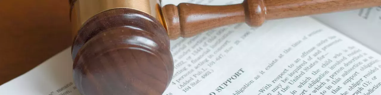 A picture of a gavel on top of a law book about child support