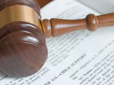 A picture of a gavel on top of a law book about child support