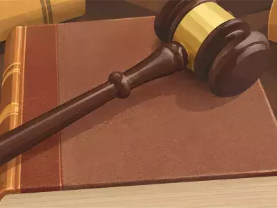 Wooden gavel resting on open law book